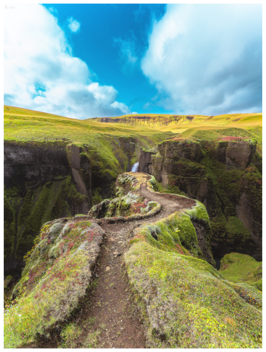 The Path of Life